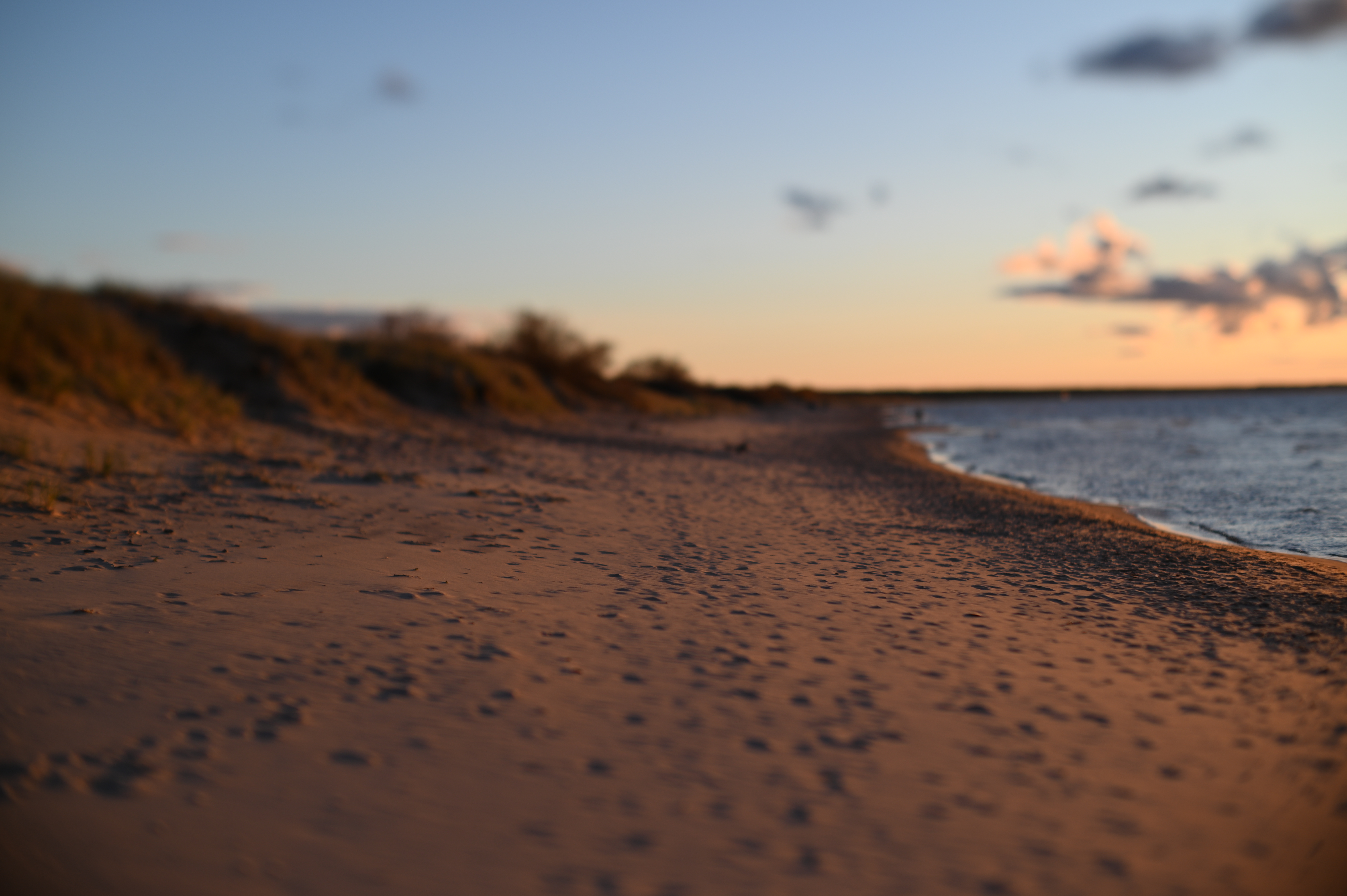 2025/10/18 - walk/DSC_0363.JPG